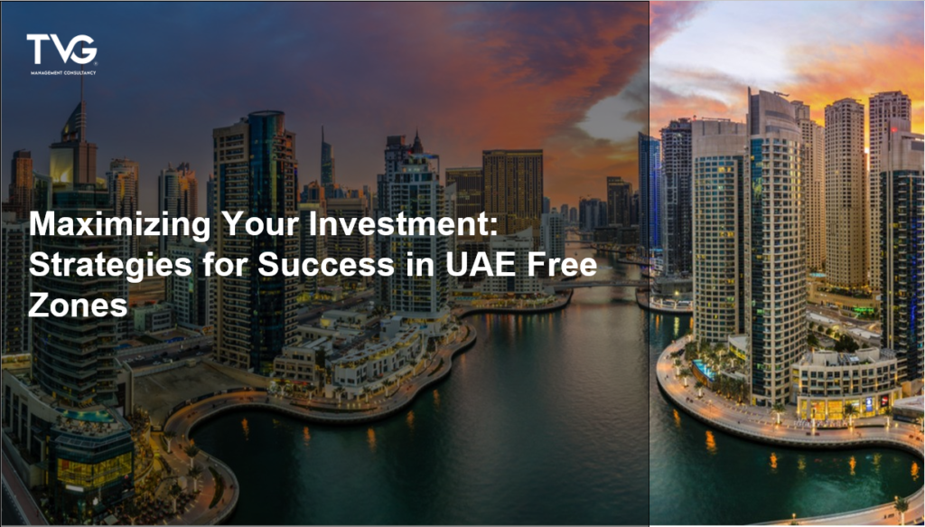 Maximizing Your Investment: Strategies for Success in UAE Free Zones