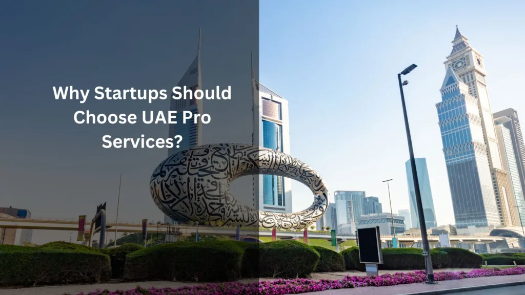 Why Startups Should Choose UAE Pro Services?