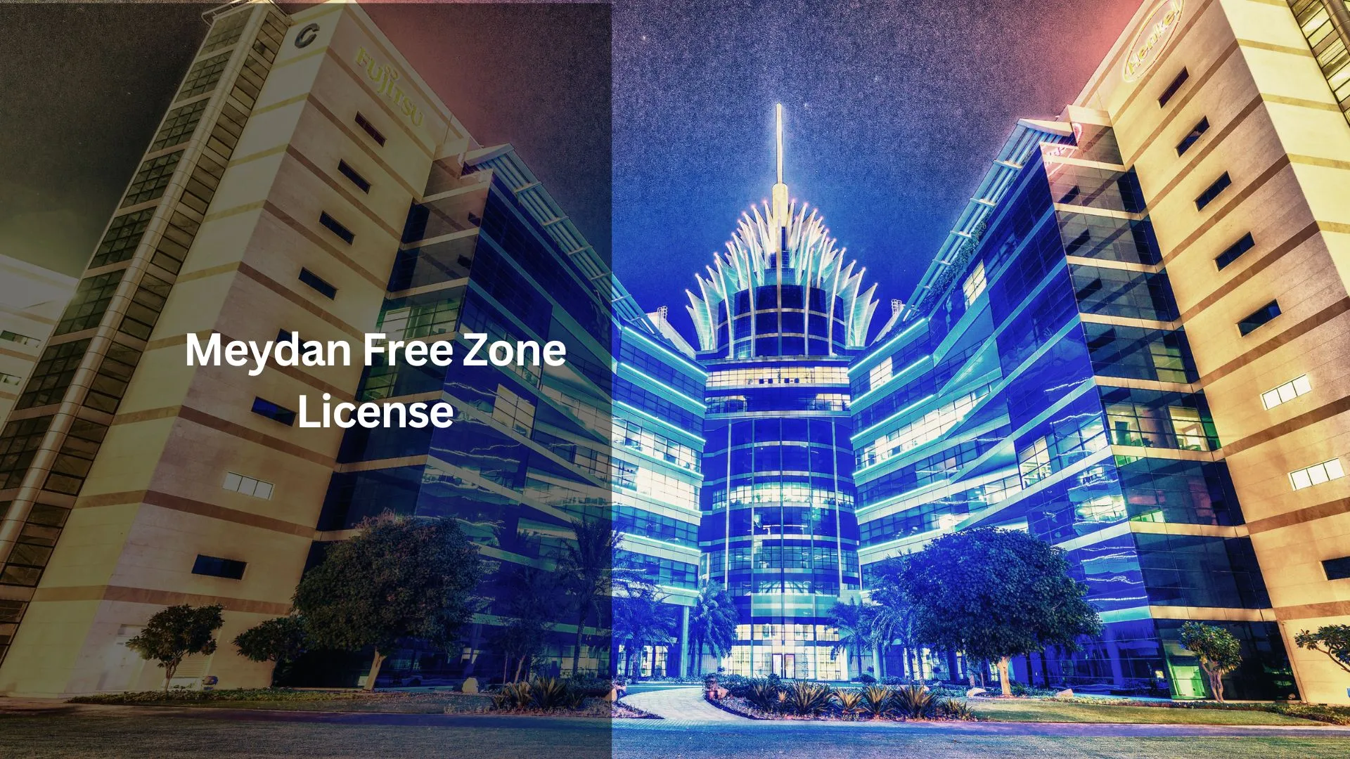 Meydan Free Zone License